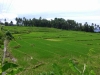 tiguis-rice-terraces
