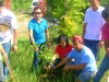 Tree Planting Activity